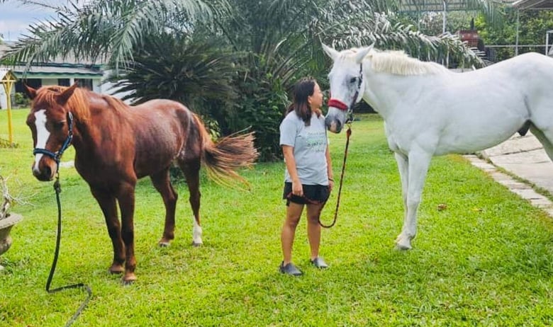 01 Shirley taking horses Titan and Barbie out for a walk