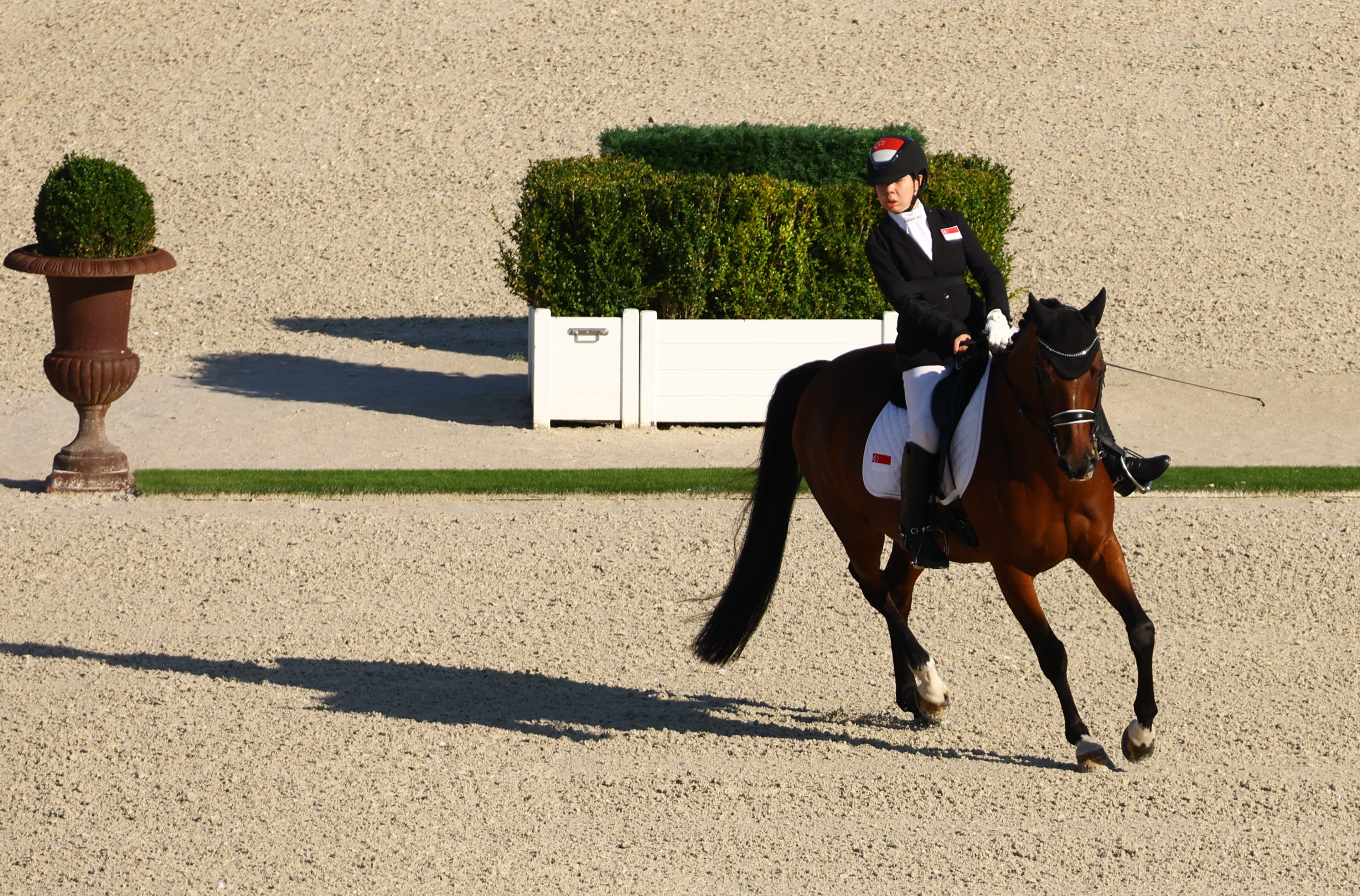 Paralympic equestrian riders - Figure 2