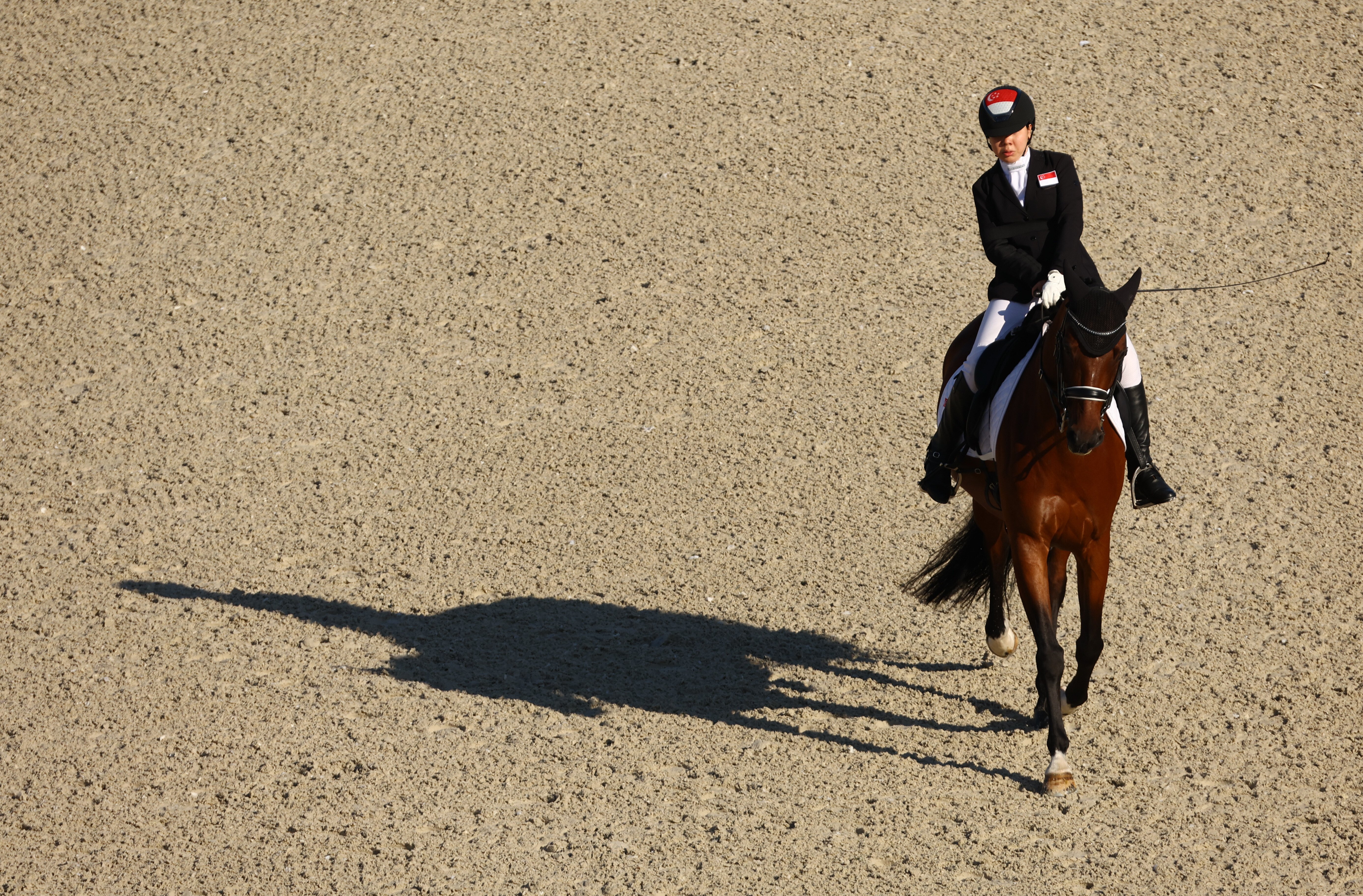 Paralympic equestrian riders - Figure 4