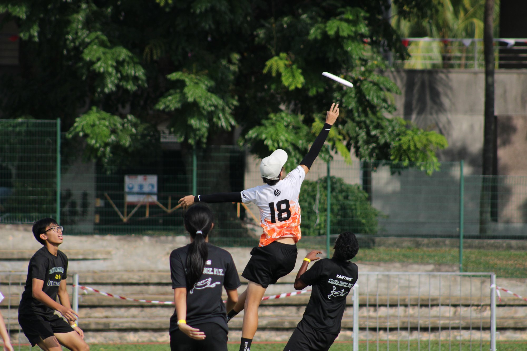 Flying_Disc_Roy_57