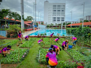 Sport Centre Active Farms are among 