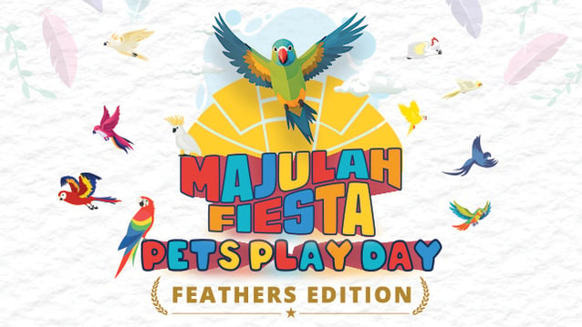 MF Pets Play Day GetActive Circle website - 640px by 360