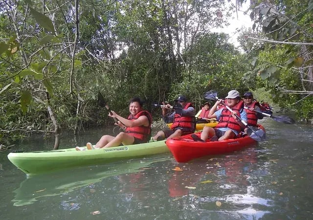 A group of paddlers kayaking through mangroves