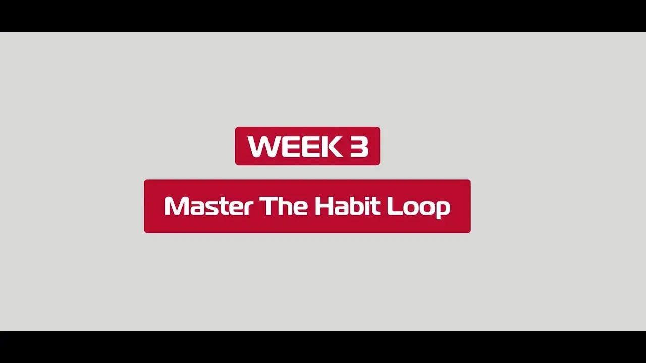 Master The Habit Loop