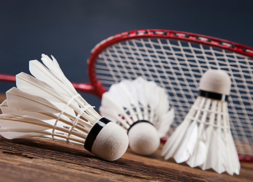 Badminton