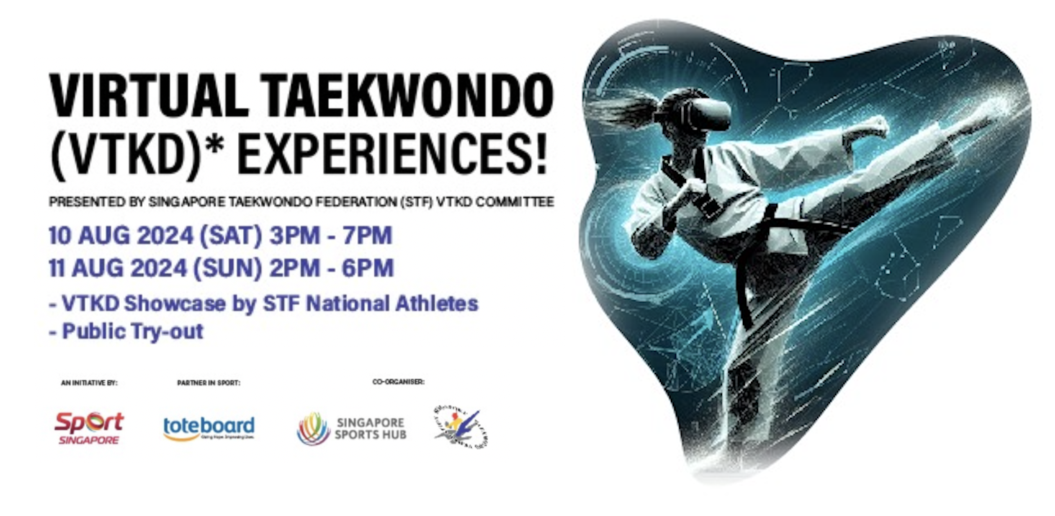 Virtual Taekwondo Experiences (VTKD)